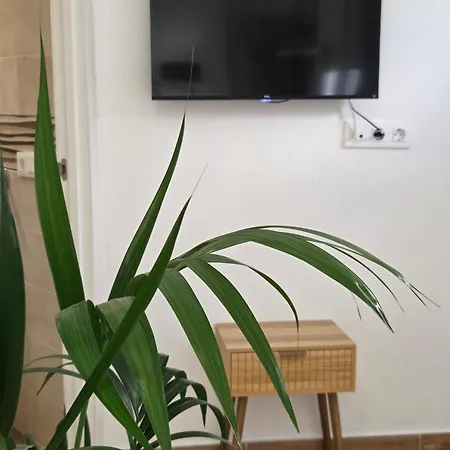 La Perlita Apartament *